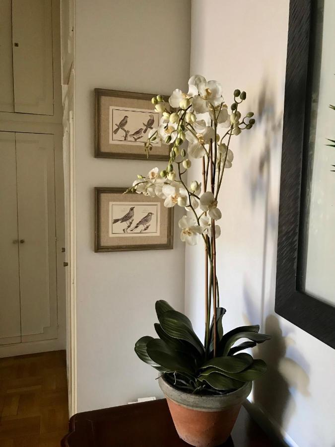 Apartamento Magnifique 2 Pieces De 65M2 -Quartier Des Musiciens Niza Exterior foto